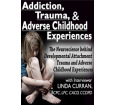Addiction, Trauma, & Adverse Childhood Experiences (ACEs) DVD