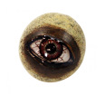 Resin Eyeball