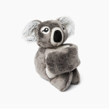 Hug Baby Quinn the Koala