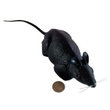 Life Sized Rat