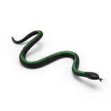Predator Snake