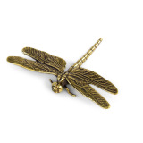 Brass Dragonfly