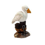 Pelican
