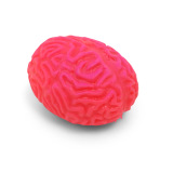 Squishy Brain