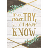 If You Never Try, You'll Never Know Positive Poster